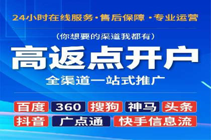 某行业领军企业的SEM广告投放策略
